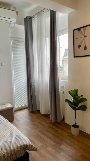 Apartament D&d *
